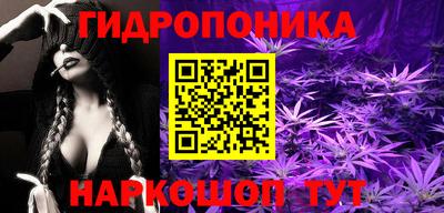 бошки Краснодар