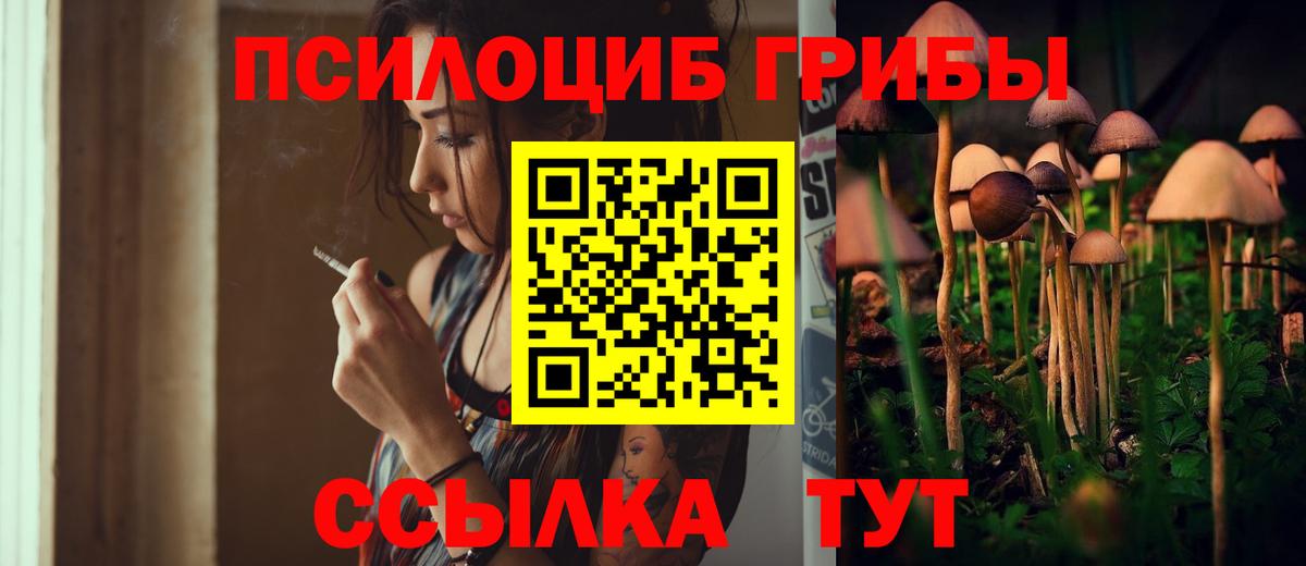 Киреевск  Псилоцибиновые грибы Cubensis  Вход с VPN  Псилоцибиновые грибы прущие грибы 